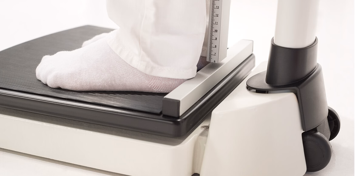 SECA 703 S - Imagen 2